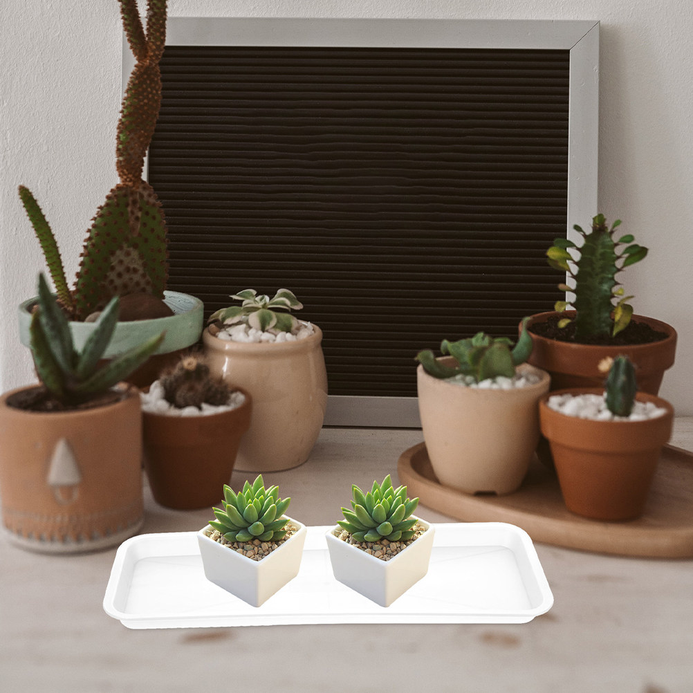 Drip Tray Saucer - 5 unidades de bandejas rectangulares poco