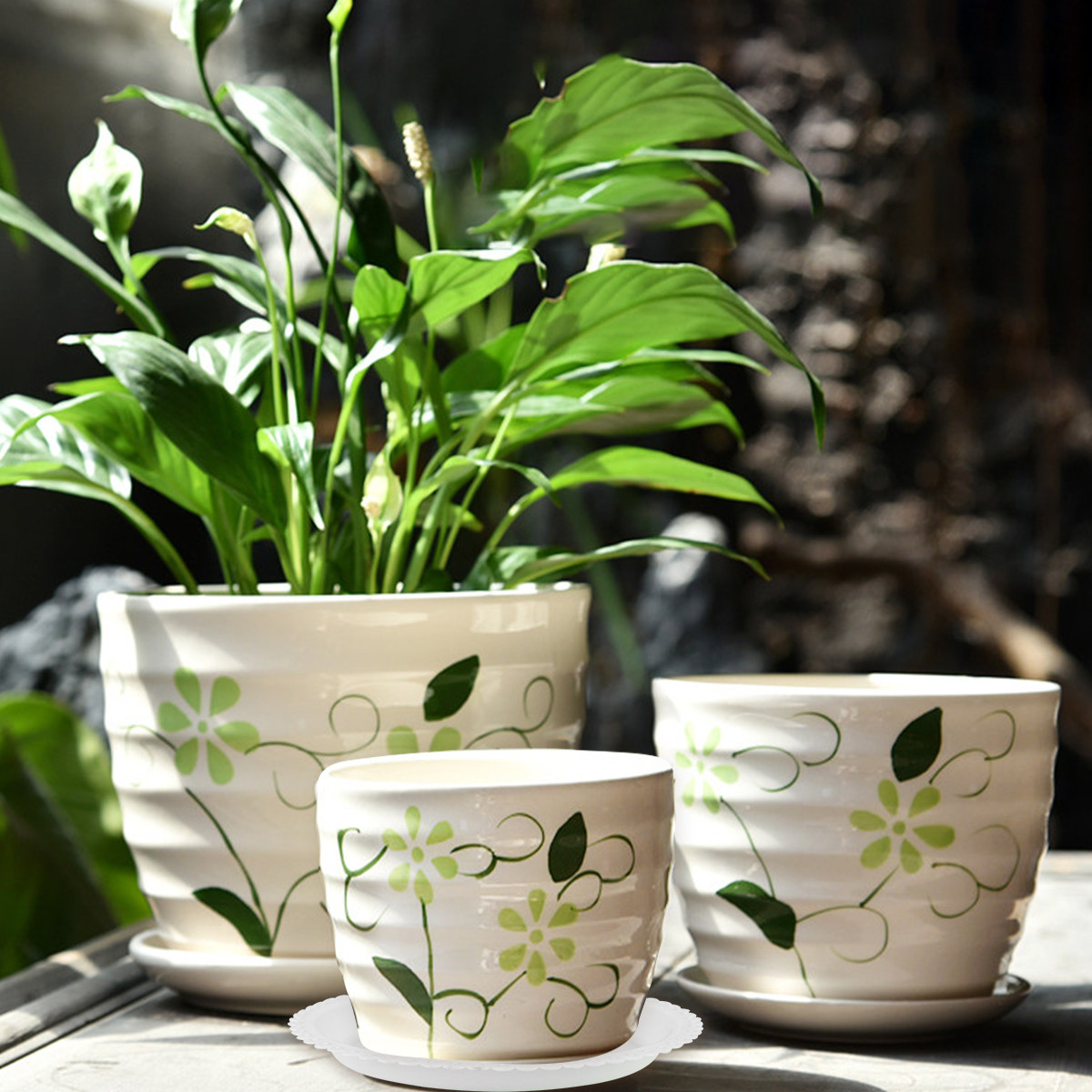 20 piezas de bandejas redondas - Drip Tray Saucer reseña y precio