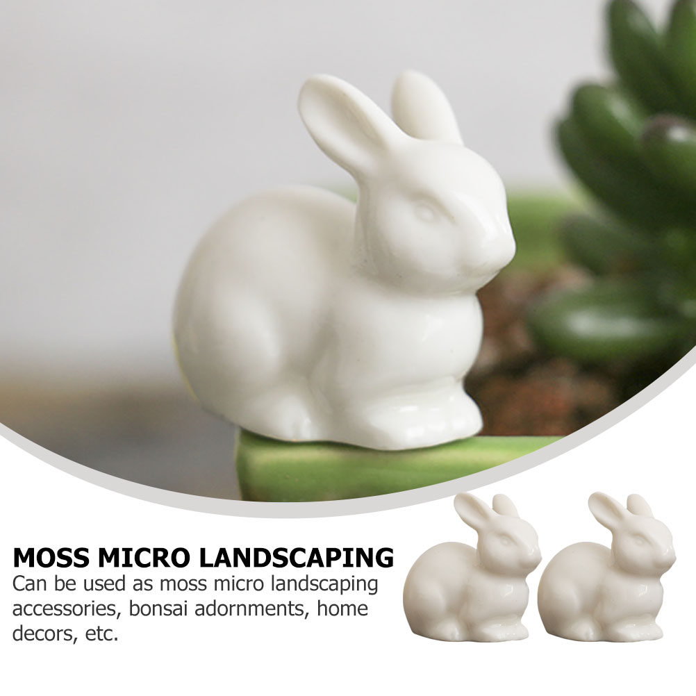 5 piezas de pequeños adornos d - Bonsai Garden Landscape Design reseña y precio
